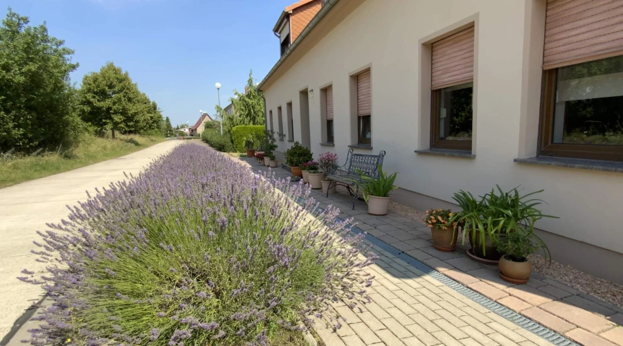 Ferienwohnung Sommer